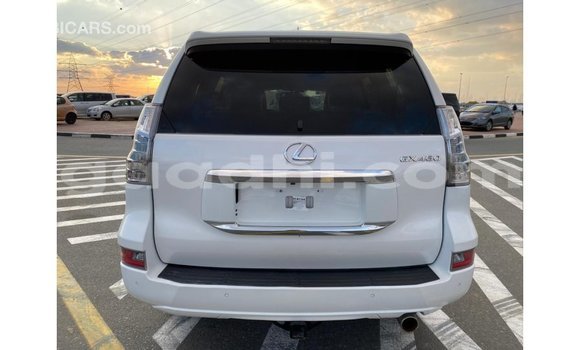 اشتري Imported Lexus GX أبيض سيارة في Import - Dubai في الصومال اشتري Imported Lexus GX أبيض سيارة في Import - Dubai في الصومال