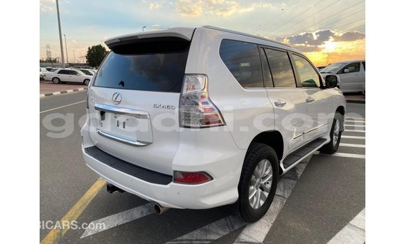 اشتري Imported Lexus GX أبيض سيارة في Import - Dubai في الصومال اشتري Imported Lexus GX أبيض سيارة في Import - Dubai في الصومال