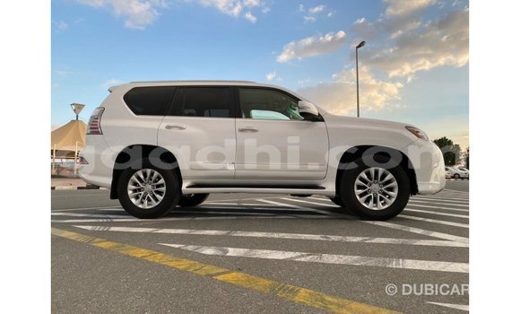 اشتري Imported Lexus GX أبيض سيارة في Import - Dubai في الصومال اشتري Imported Lexus GX أبيض سيارة في Import - Dubai في الصومال