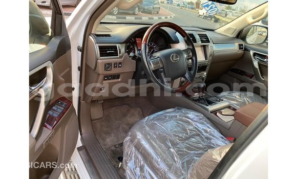 اشتري Imported Lexus GX أبيض سيارة في Import - Dubai في الصومال اشتري Imported Lexus GX أبيض سيارة في Import - Dubai في الصومال