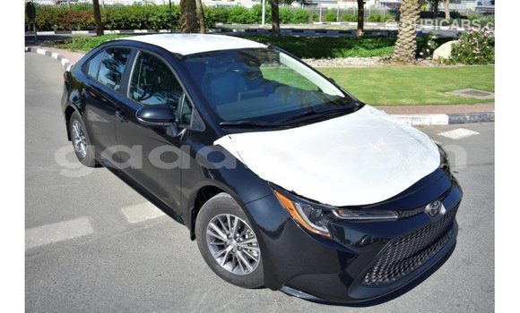 Buy Import Toyota Corolla Black Car in Import - Dubai in Somalia Buy Import Toyota Corolla Black Car in Import - Dubai in Somalia