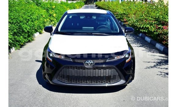 Buy Import Toyota Corolla Black Car in Import - Dubai in Somalia Buy Import Toyota Corolla Black Car in Import - Dubai in Somalia