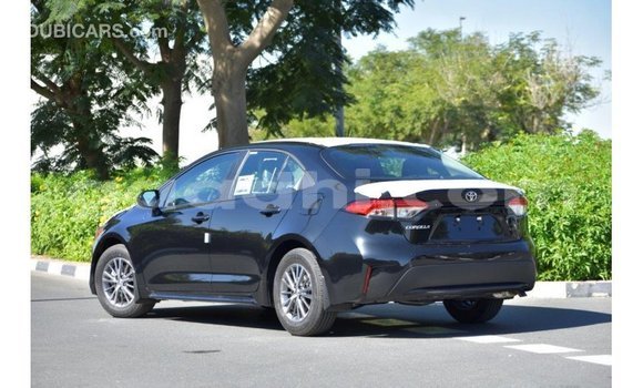 Buy Import Toyota Corolla Black Car in Import - Dubai in Somalia Buy Import Toyota Corolla Black Car in Import - Dubai in Somalia