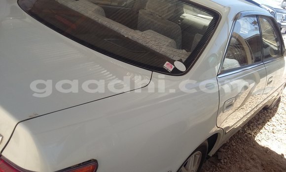 Nunua Mpya Toyota MR2 Nyeupe Gari ndani ya Hargeysa nchini Somaliland Nunua Mpya Toyota MR2 Nyeupe Gari ndani ya Hargeysa nchini Somaliland