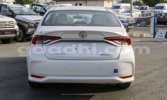 Buy Import Toyota Corolla White Car in Import - Dubai in Somalia Buy Import Toyota Corolla White Car in Import - Dubai in Somalia