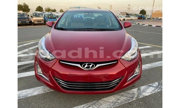 ይግዙ Imported Hyundai Elantra ቀይ መኪና በ Import - Dubai በ ሶማሊያ ይግዙ Imported Hyundai Elantra ቀይ መኪና በ Import - Dubai በ ሶማሊያ