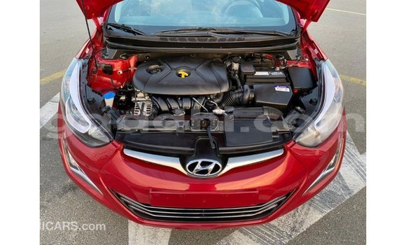 ይግዙ Imported Hyundai Elantra ቀይ መኪና በ Import - Dubai በ ሶማሊያ ይግዙ Imported Hyundai Elantra ቀይ መኪና በ Import - Dubai በ ሶማሊያ