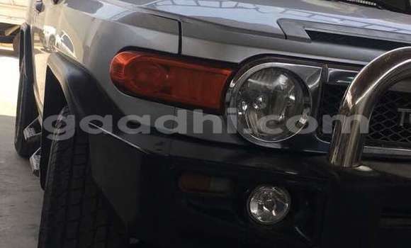 Buy New Toyota FJ Cruiser Silver Car in Hargeysa in Somaliland Buy New Toyota FJ Cruiser Silver Car in Hargeysa in Somaliland