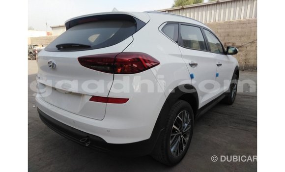 Buy Import Hyundai Tucson White Car in Import - Dubai in Somalia Buy Import Hyundai Tucson White Car in Import - Dubai in Somalia