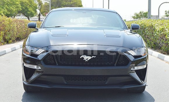 Buy Used Ford Focus Black Car in Hargeysa in Somaliland Buy Used Ford Focus Black Car in Hargeysa in Somaliland