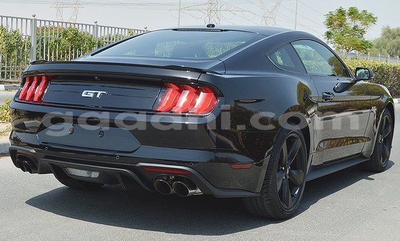 Buy Used Ford Focus Black Car in Hargeysa in Somaliland Buy Used Ford Focus Black Car in Hargeysa in Somaliland