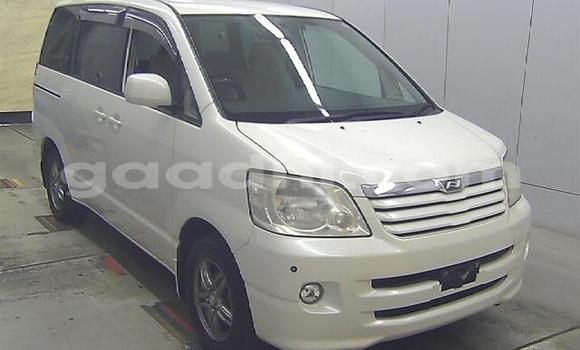 Buy Used Toyota Noah White Car in Hargeysa in Somaliland Buy Used Toyota Noah White Car in Hargeysa in Somaliland