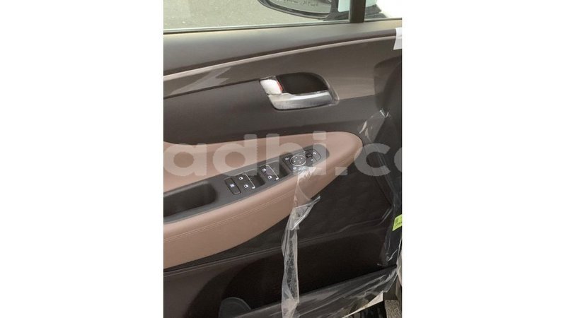 Big with watermark hyundai santa fe somalia import dubai 3667