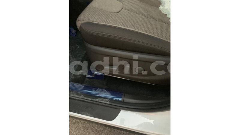 Big with watermark hyundai santa fe somalia import dubai 3667