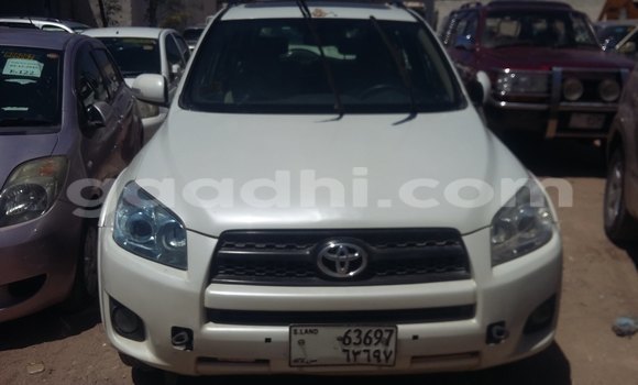 اشتري مستعمل Toyota RAV4 أبيض سيارة في هرجيسا في أرض الصومال اشتري مستعمل Toyota RAV4 أبيض سيارة في هرجيسا في أرض الصومال