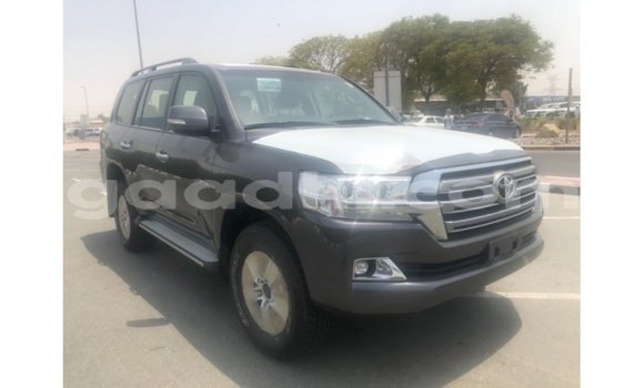 Acheter Import Voiture Toyota Land Cruiser Autre à Import - Dubai, Somalie Acheter Import Voiture Toyota Land Cruiser Autre à Import - Dubai, Somalie