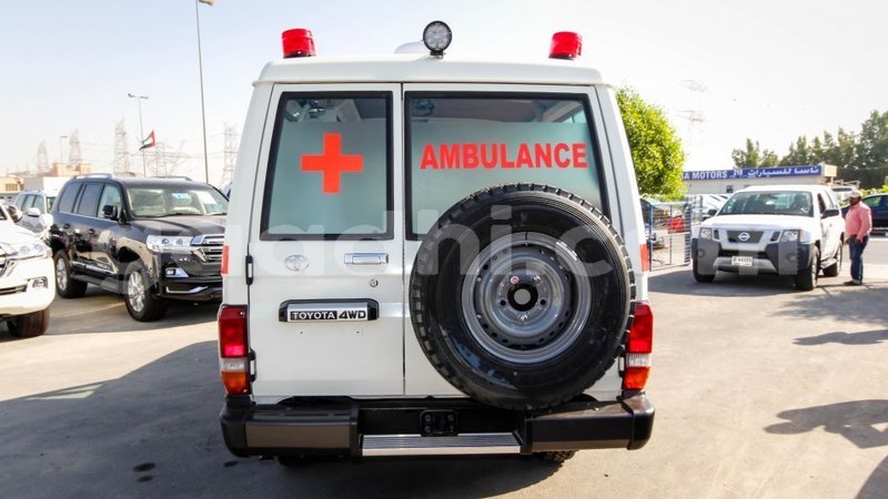 Big with watermark 5