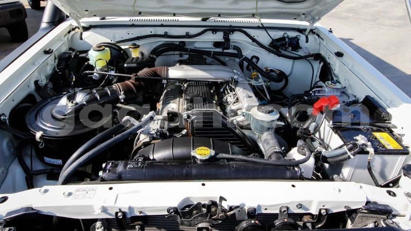 Big with watermark 8