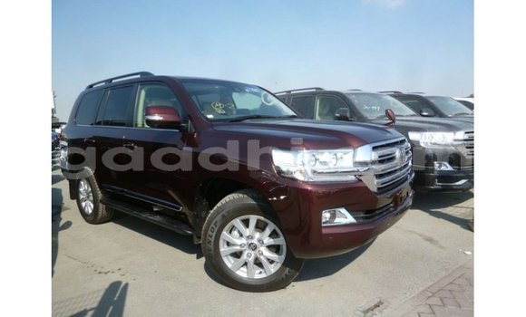 ይግዙ Imported Toyota Land Cruiser ብናማ መኪና በ Import - Dubai በ ሶማሊያ ይግዙ Imported Toyota Land Cruiser ብናማ መኪና በ Import - Dubai በ ሶማሊያ