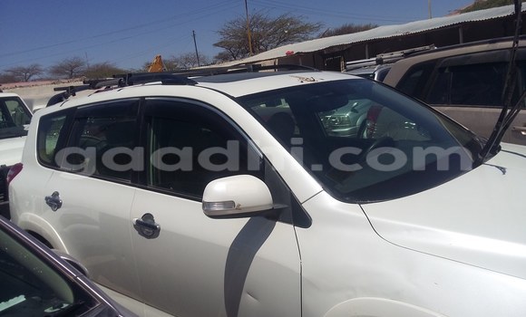 اشتري مستعمل Toyota RAV4 أبيض سيارة في هرجيسا في أرض الصومال اشتري مستعمل Toyota RAV4 أبيض سيارة في هرجيسا في أرض الصومال