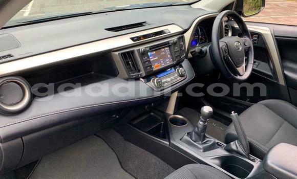 Buy Used Toyota RAV4 Blue Car in Mogadishu in Somalia Buy Used Toyota RAV4 Blue Car in Mogadishu in Somalia