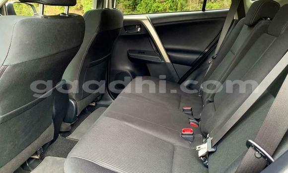 Buy Used Toyota RAV4 Blue Car in Mogadishu in Somalia Buy Used Toyota RAV4 Blue Car in Mogadishu in Somalia