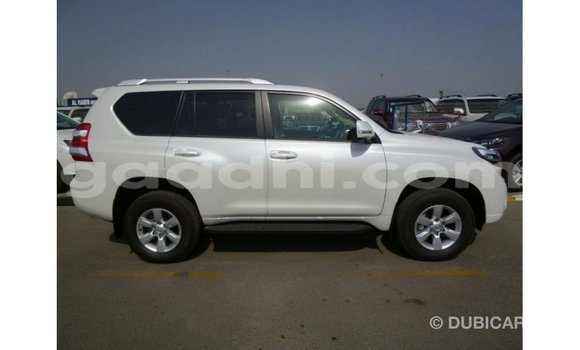 ይግዙ Imported Toyota Prado ነጭ መኪና በ Import - Dubai በ ሶማሊያ ይግዙ Imported Toyota Prado ነጭ መኪና በ Import - Dubai በ ሶማሊያ