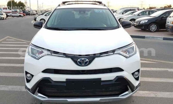 Buy Import Toyota RAV4 White Car in Import - Dubai in Somalia Buy Import Toyota RAV4 White Car in Import - Dubai in Somalia
