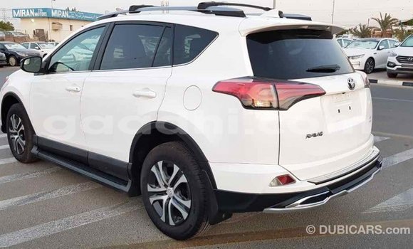 Buy Import Toyota RAV4 White Car in Import - Dubai in Somalia Buy Import Toyota RAV4 White Car in Import - Dubai in Somalia