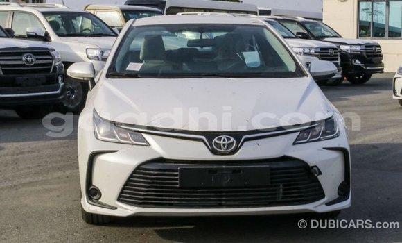 Buy Import Toyota Corolla White Car in Import - Dubai in Somalia Buy Import Toyota Corolla White Car in Import - Dubai in Somalia