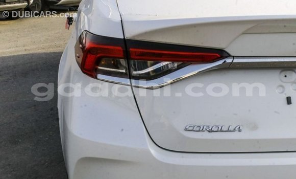 Buy Import Toyota Corolla White Car in Import - Dubai in Somalia Buy Import Toyota Corolla White Car in Import - Dubai in Somalia