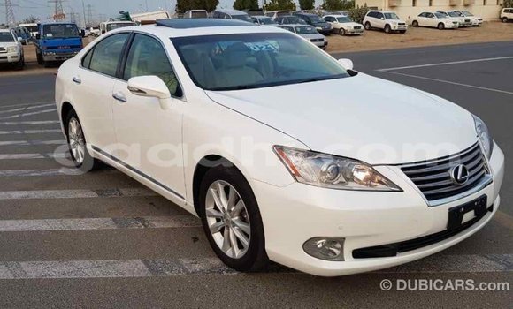 اشتري Imported Lexus ES أبيض سيارة في Import - Dubai في الصومال اشتري Imported Lexus ES أبيض سيارة في Import - Dubai في الصومال