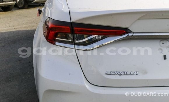 Buy Import Toyota Corolla White Car in Import - Dubai in Somalia Buy Import Toyota Corolla White Car in Import - Dubai in Somalia