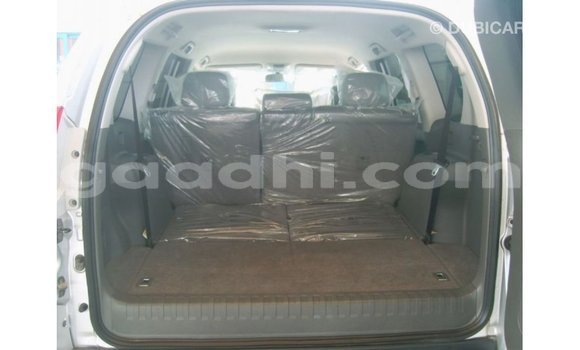 ይግዙ Imported Toyota Prado ሌላ መኪና በ Import - Dubai በ ሶማሊያ ይግዙ Imported Toyota Prado ሌላ መኪና በ Import - Dubai በ ሶማሊያ