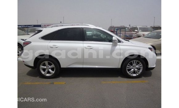ይግዙ Imported Lexus RX 350 ነጭ መኪና በ Import - Dubai በ ሶማሊያ ይግዙ Imported Lexus RX 350 ነጭ መኪና በ Import - Dubai በ ሶማሊያ