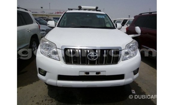 ይግዙ Imported Toyota Prado ነጭ መኪና በ Import - Dubai በ ሶማሊያ ይግዙ Imported Toyota Prado ነጭ መኪና በ Import - Dubai በ ሶማሊያ