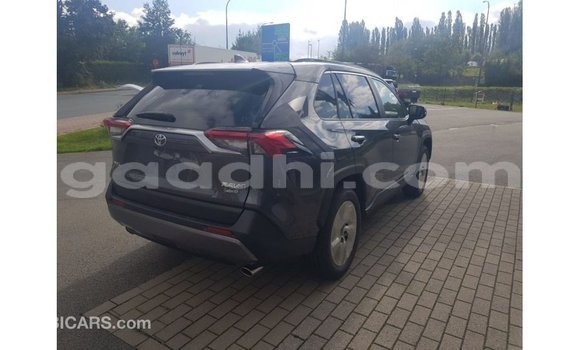 Buy Import Toyota HiAce Other Truck in Import - Dubai in Somalia Buy Import Toyota HiAce Other Truck in Import - Dubai in Somalia