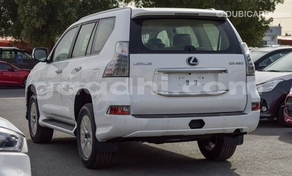 Acheter Import Voiture Lexus GX Blanc à Import - Dubai, Somalie Acheter Import Voiture Lexus GX Blanc à Import - Dubai, Somalie