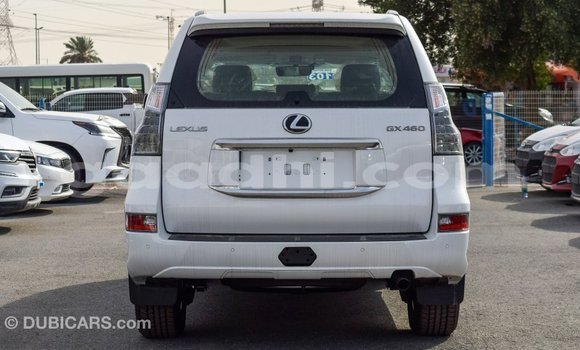 Acheter Import Voiture Lexus GX Blanc à Import - Dubai, Somalie Acheter Import Voiture Lexus GX Blanc à Import - Dubai, Somalie