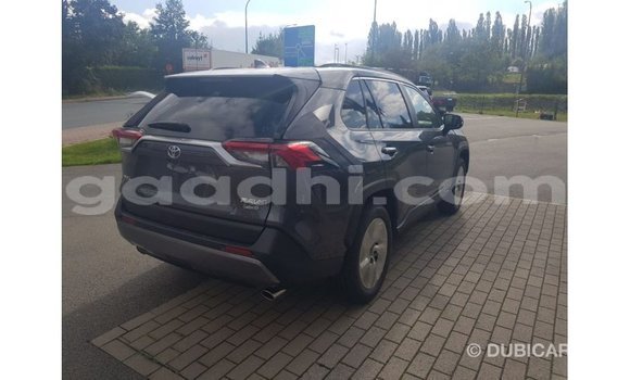ይግዙ Imported Toyota RAV4 ሌላ መኪና በ Import - Dubai በ ሶማሊያ ይግዙ Imported Toyota RAV4 ሌላ መኪና በ Import - Dubai በ ሶማሊያ