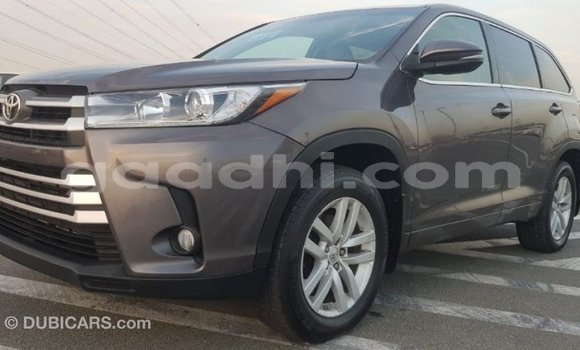 ይግዙ Imported Toyota Highlander ሌላ መኪና በ Import - Dubai በ ሶማሊያ ይግዙ Imported Toyota Highlander ሌላ መኪና በ Import - Dubai በ ሶማሊያ