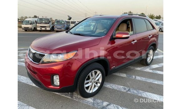 Buy Import Kia Sorento Red Car in Import - Dubai in Somalia Buy Import Kia Sorento Red Car in Import - Dubai in Somalia