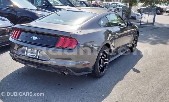 Acheter Import Voiture Ford Mustang Autre à Import - Dubai, Somalie Acheter Import Voiture Ford Mustang Autre à Import - Dubai, Somalie
