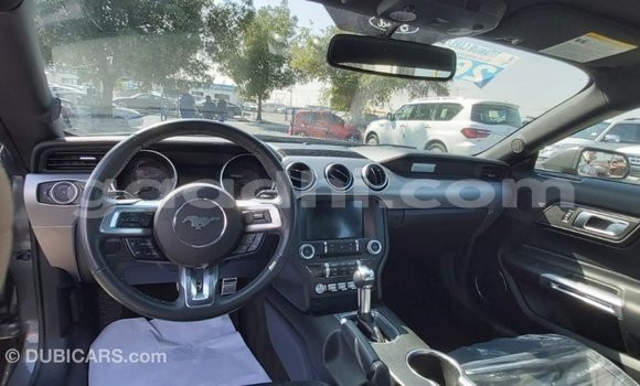 Acheter Import Voiture Ford Mustang Autre à Import - Dubai, Somalie Acheter Import Voiture Ford Mustang Autre à Import - Dubai, Somalie