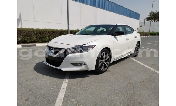 Buy Import Nissan Maxima White Car in Import - Dubai in Somalia Buy Import Nissan Maxima White Car in Import - Dubai in Somalia