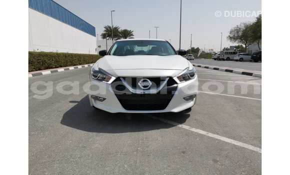 Buy Import Nissan Maxima White Car in Import - Dubai in Somalia Buy Import Nissan Maxima White Car in Import - Dubai in Somalia