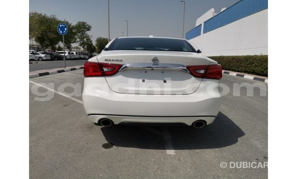 Buy Import Nissan Maxima White Car in Import - Dubai in Somalia Buy Import Nissan Maxima White Car in Import - Dubai in Somalia
