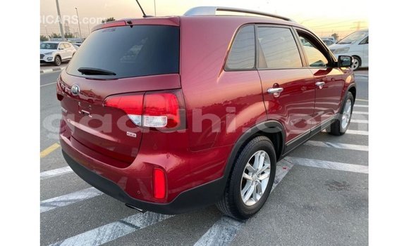Buy Import Kia Sorento Red Car in Import - Dubai in Somalia Buy Import Kia Sorento Red Car in Import - Dubai in Somalia