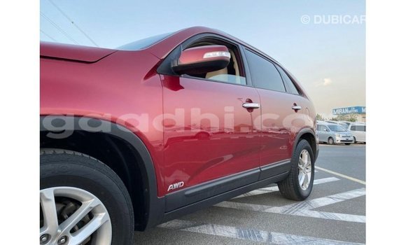 Buy Import Kia Sorento Red Car in Import - Dubai in Somalia Buy Import Kia Sorento Red Car in Import - Dubai in Somalia