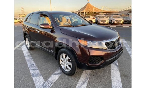ይግዙ Imported Kia Sorento ብናማ መኪና በ Import - Dubai በ ሶማሊያ ይግዙ Imported Kia Sorento ብናማ መኪና በ Import - Dubai በ ሶማሊያ